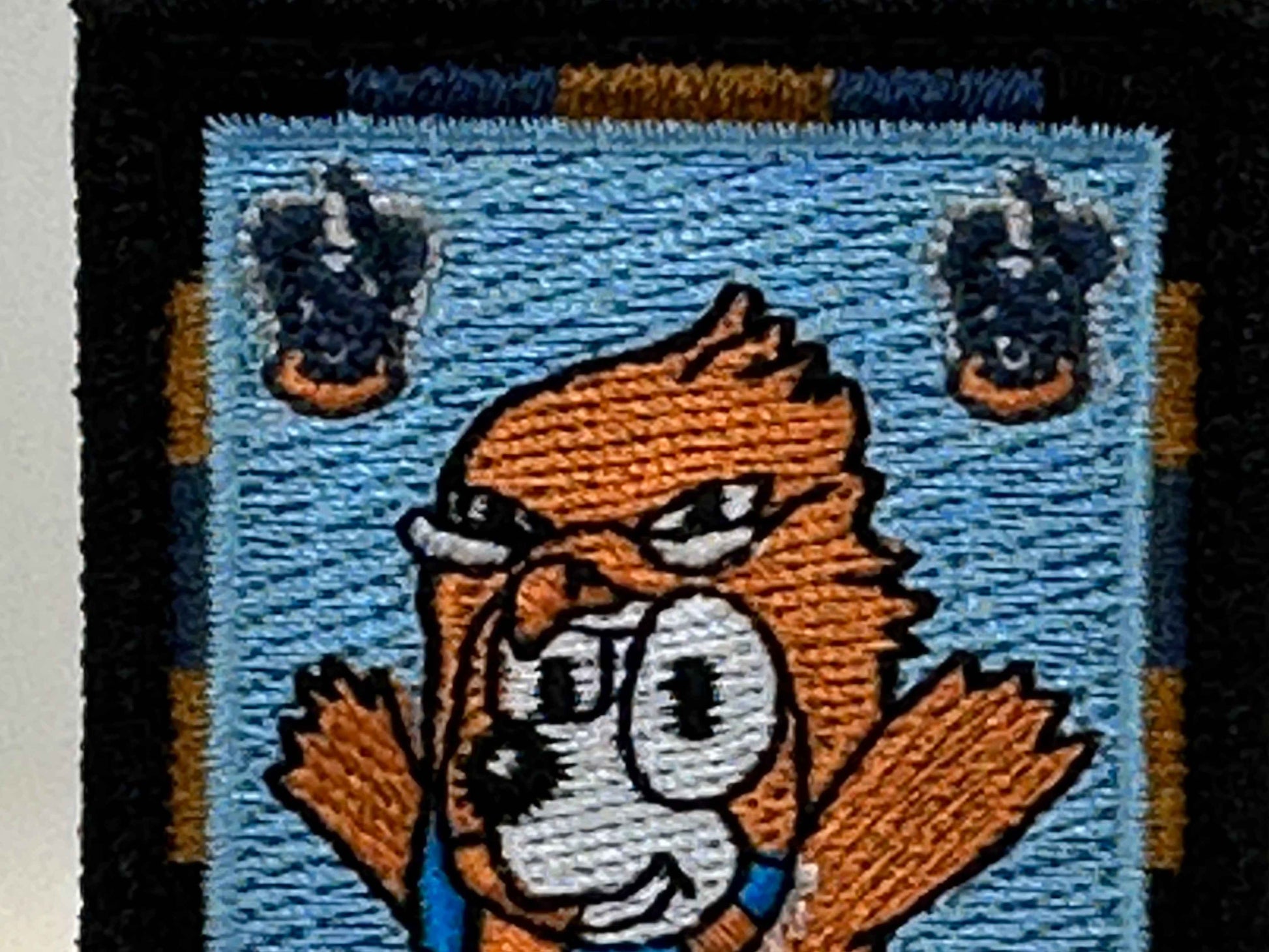 LIMITED EDITION - RavenPaw PATCH - BLUEY POTTER SERIES PATCH #3